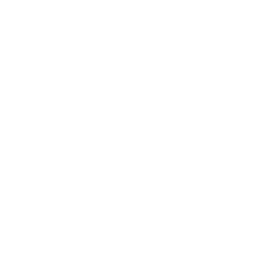 Pulfer Brewery logo